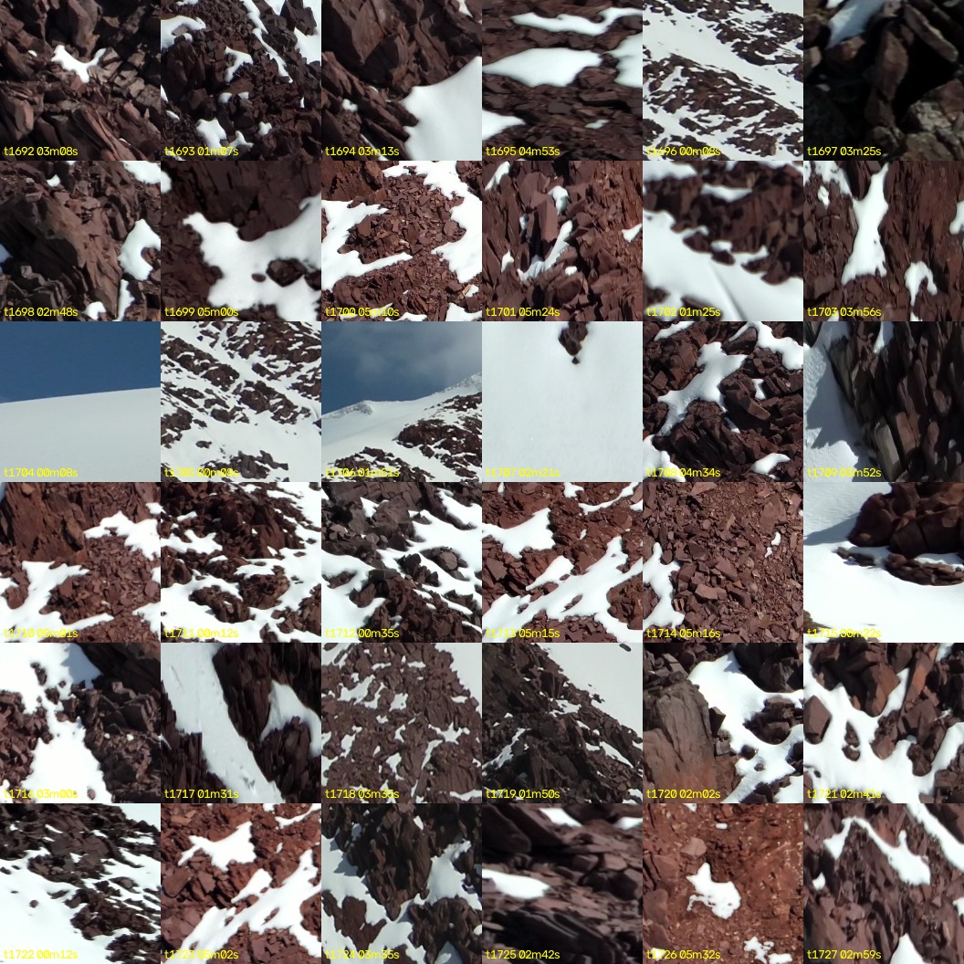 montage_47.jpg
