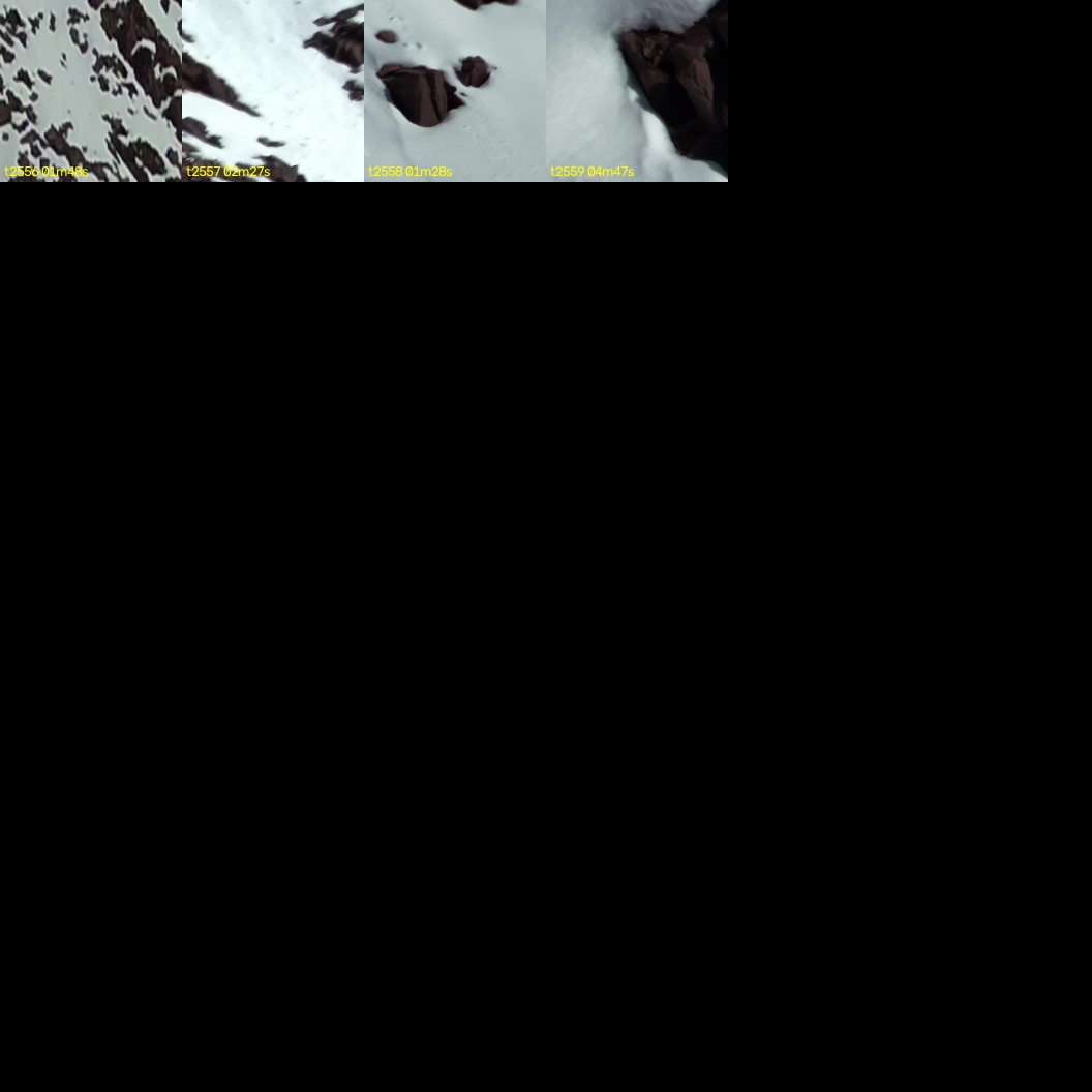 montage_71.jpg