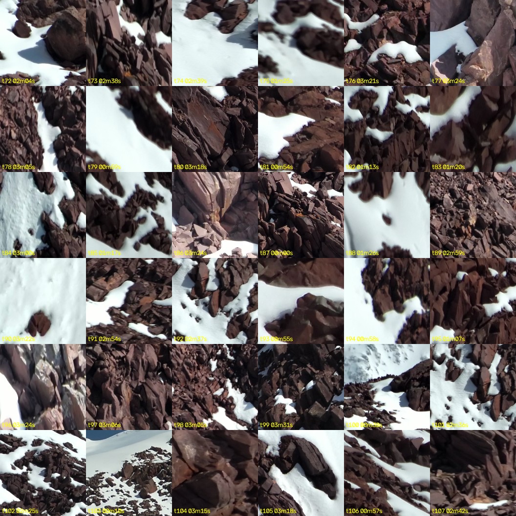 montage_02.jpg