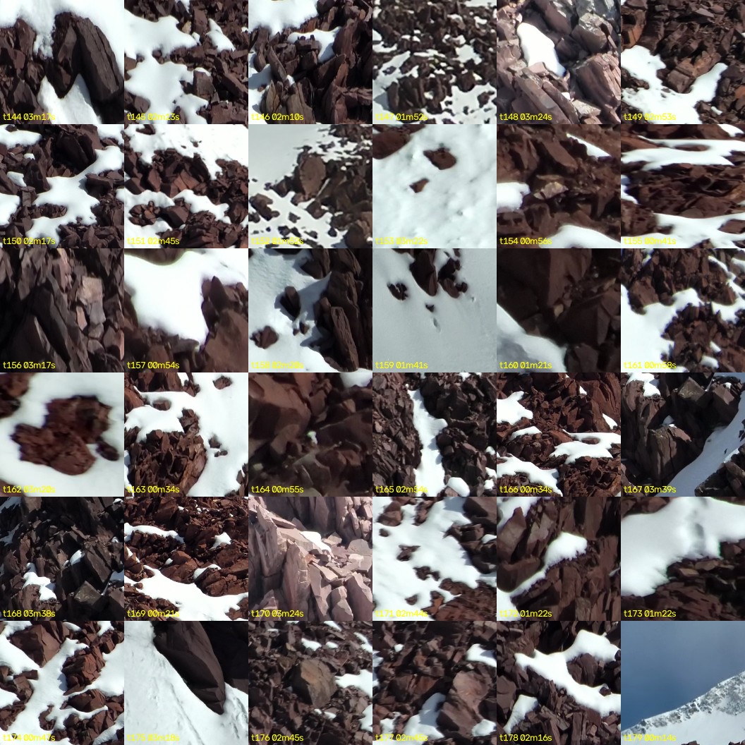 montage_04.jpg