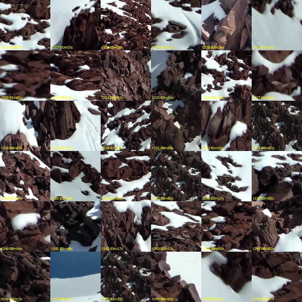 montage_06.jpg