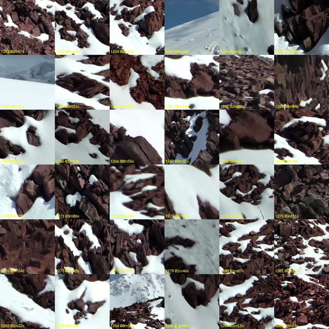 montage_07.jpg