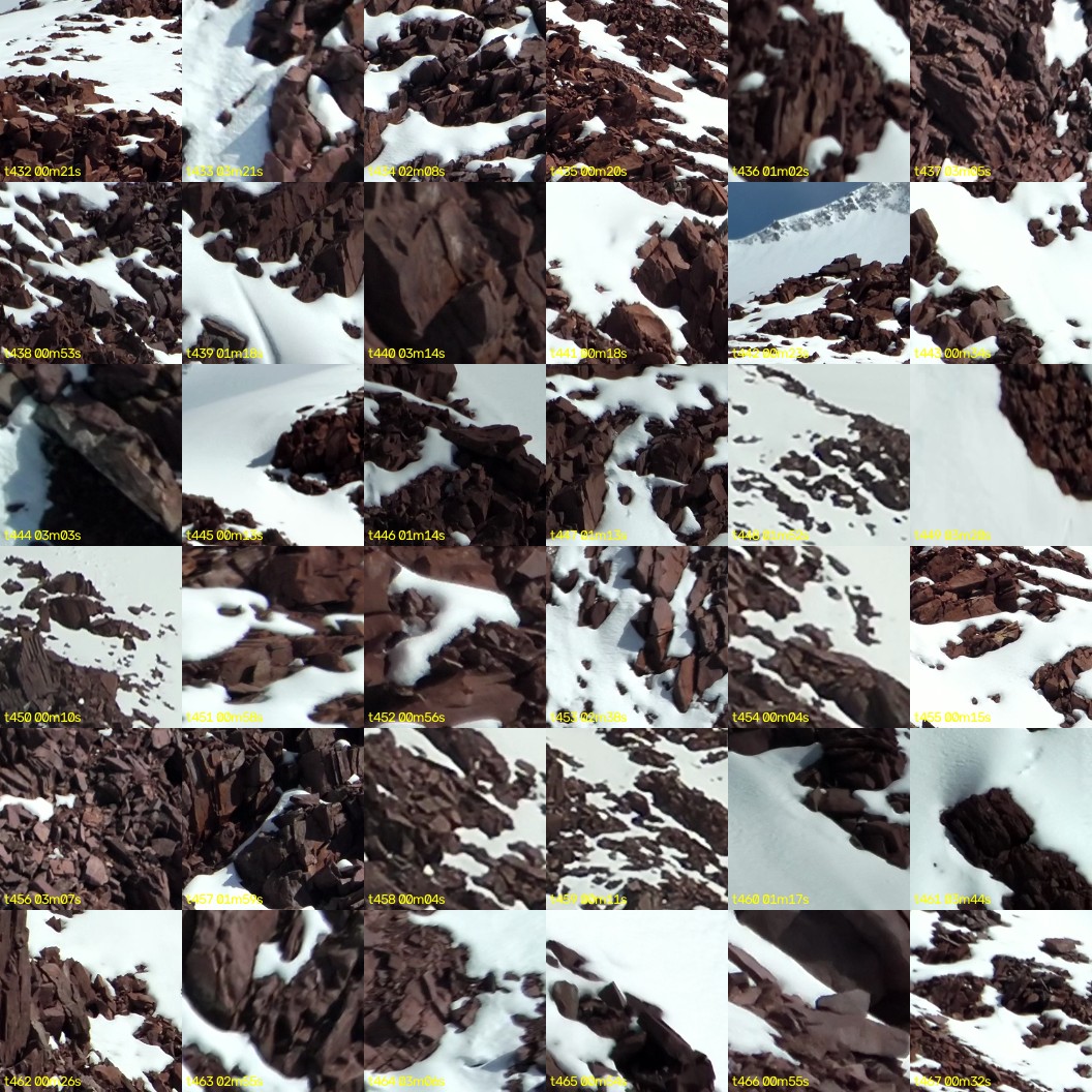montage_12.jpg
