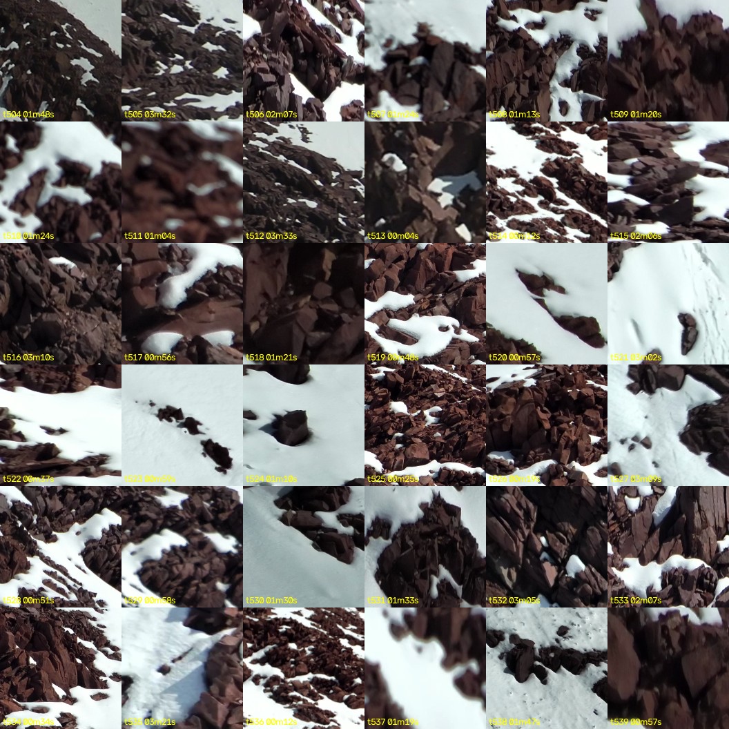 montage_14.jpg