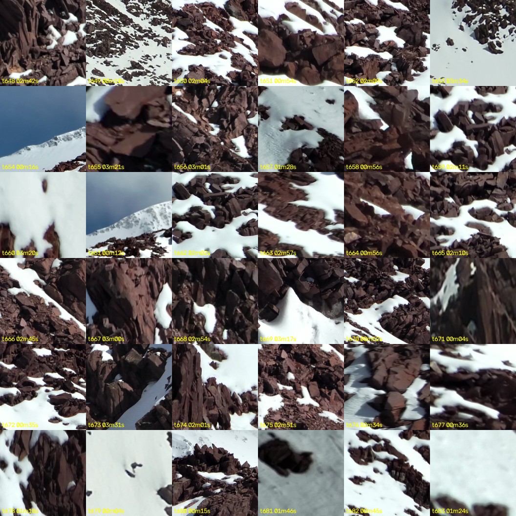 montage_18.jpg