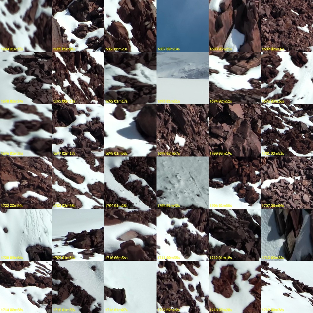 montage_19.jpg