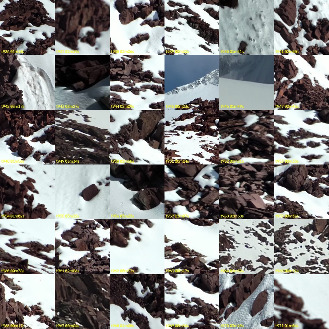 montage_26.jpg