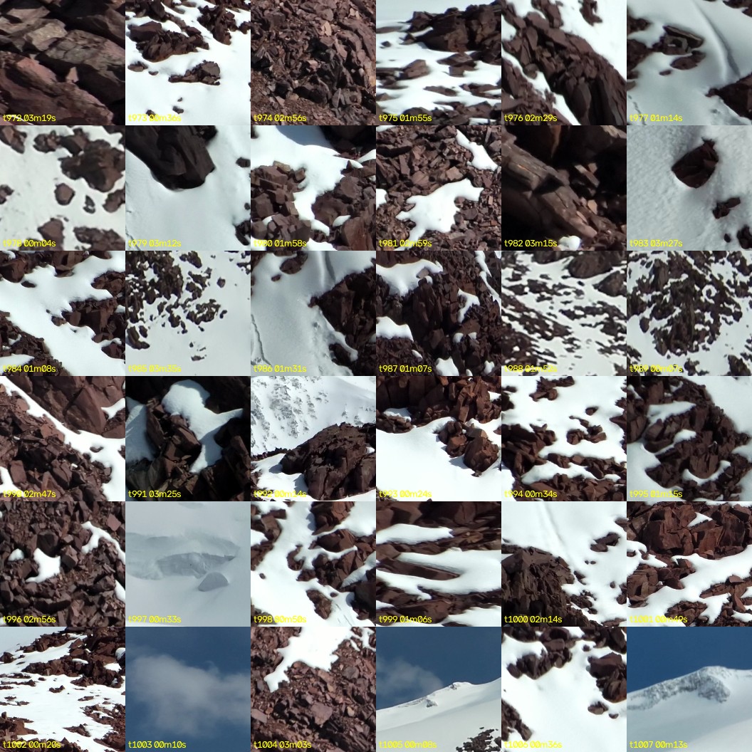 montage_27.jpg