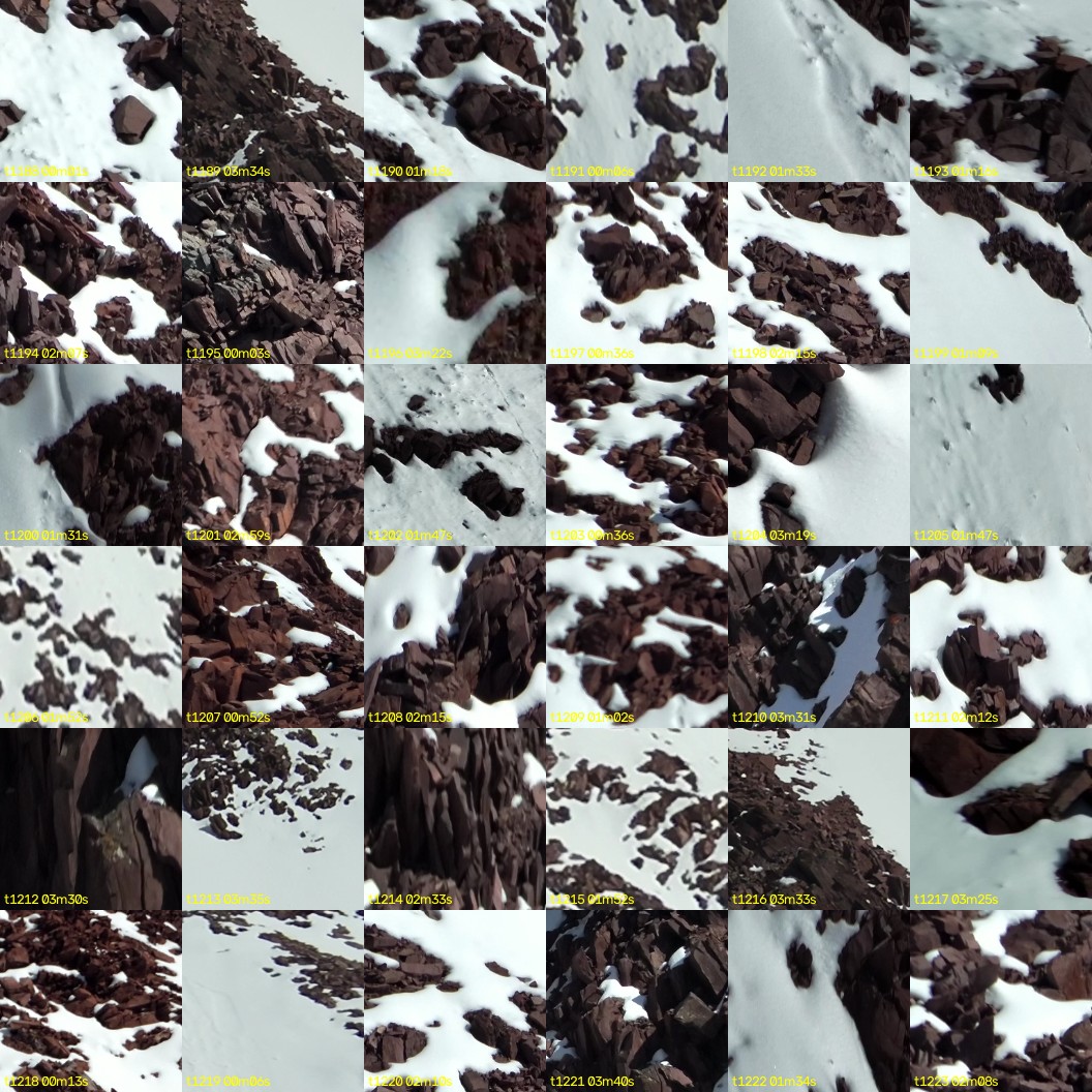 montage_33.jpg