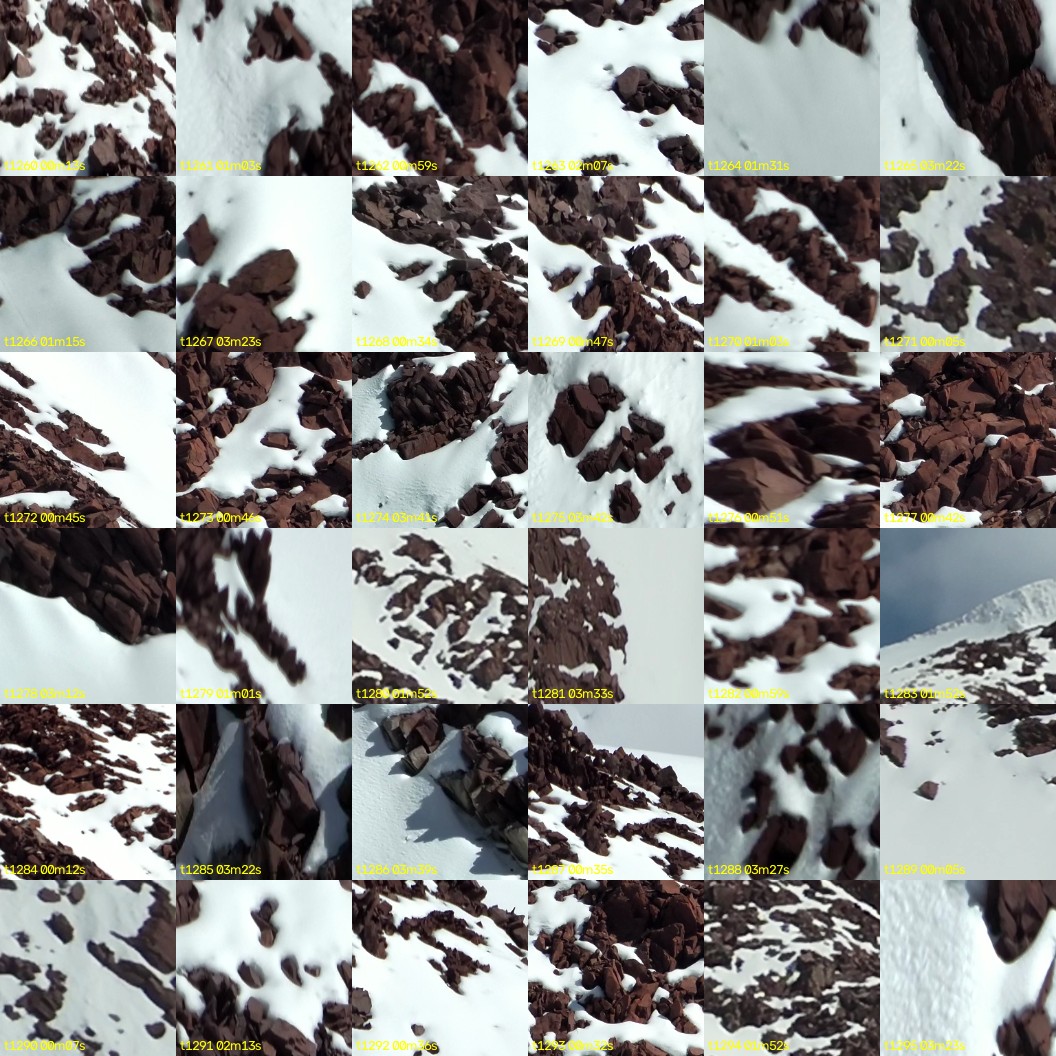 montage_35.jpg