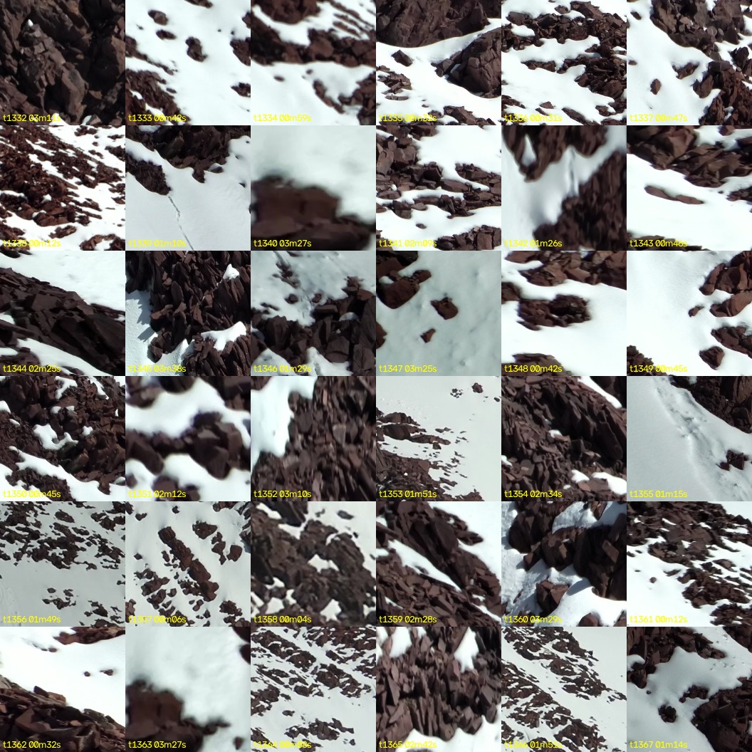 montage_37.jpg