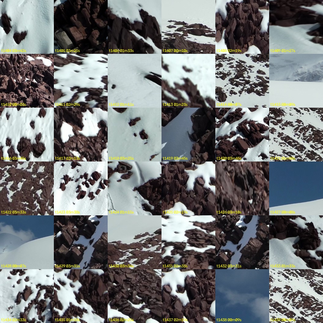 montage_39.jpg