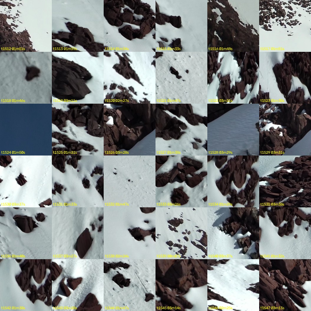 montage_42.jpg