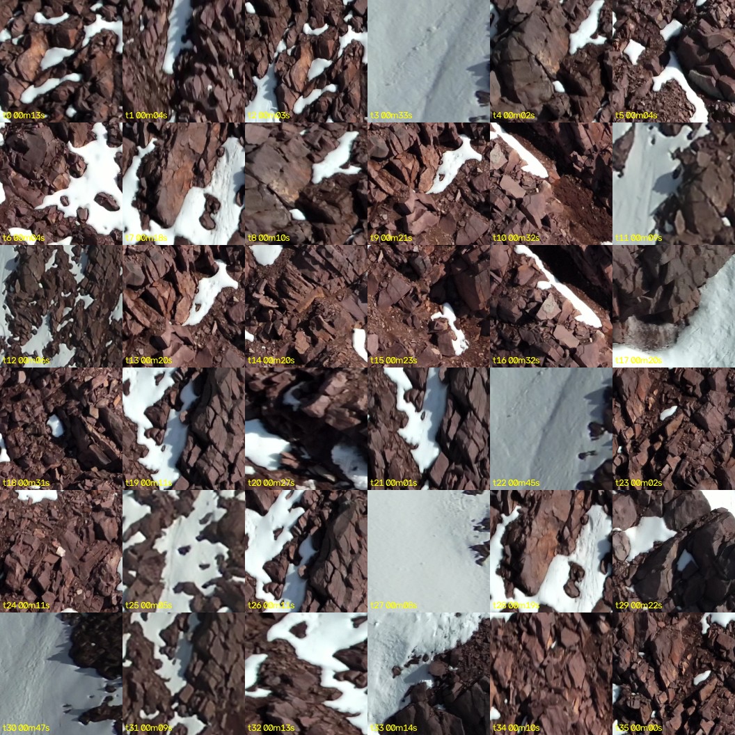montage_00.jpg