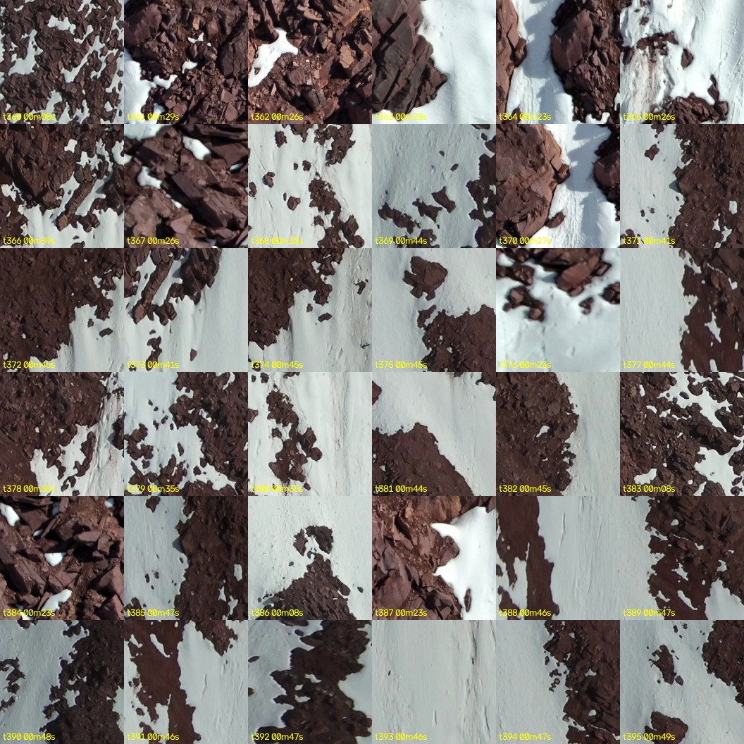 montage_10.jpg