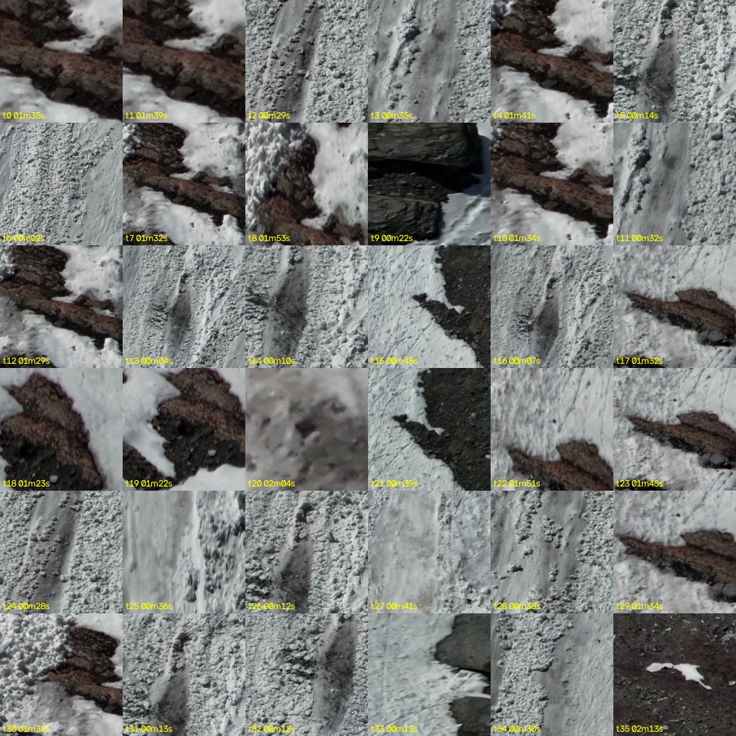 montage_00.jpg
