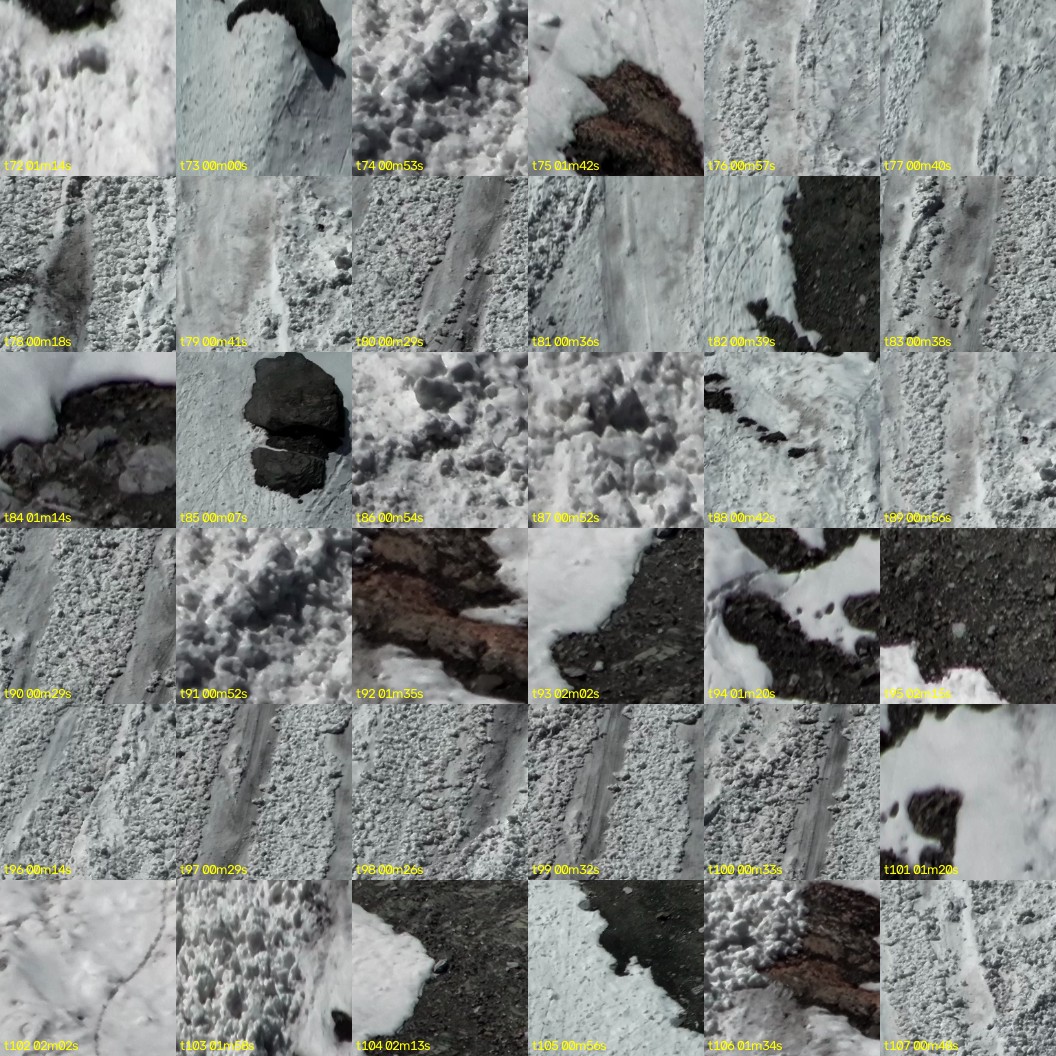 montage_02.jpg