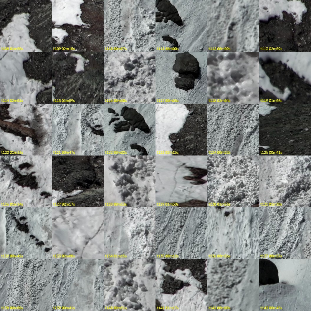 montage_03.jpg