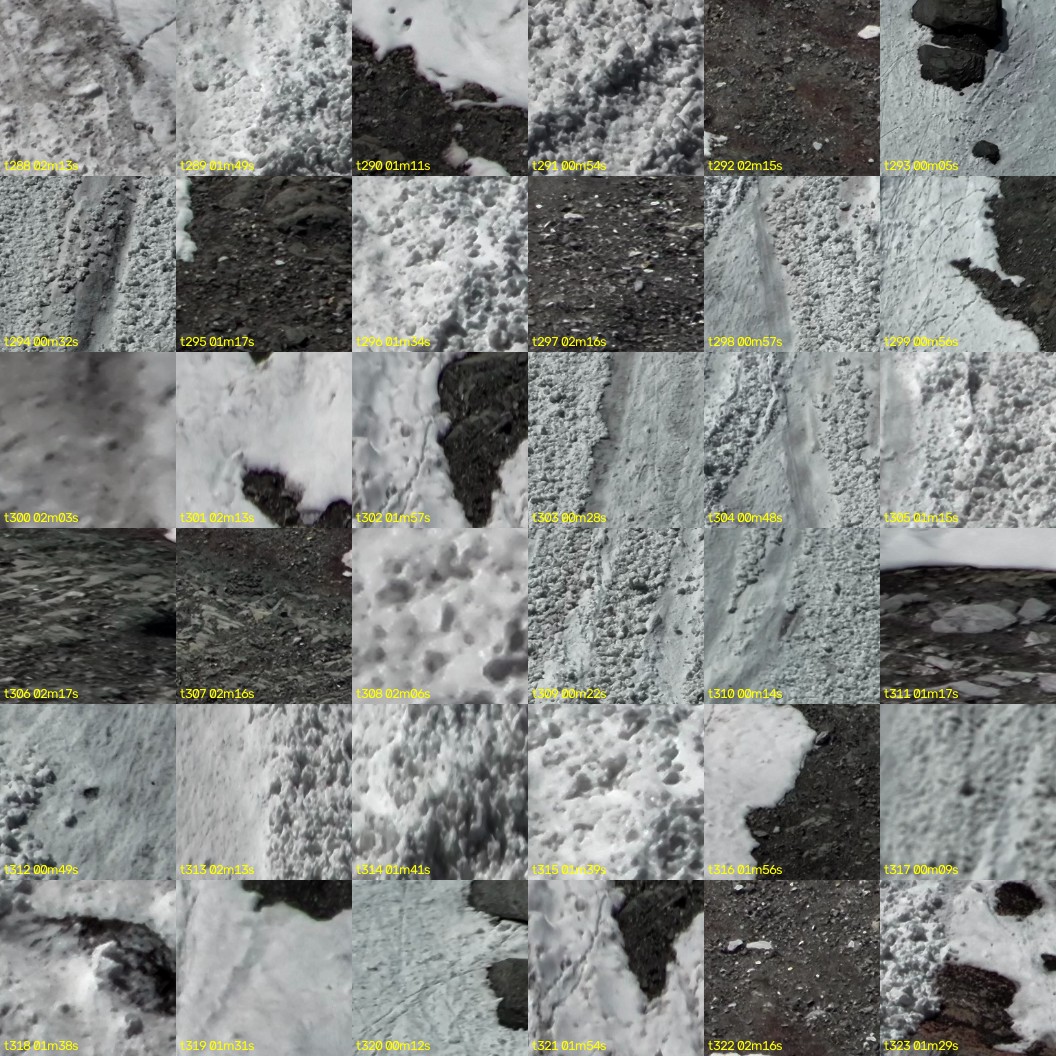 montage_08.jpg