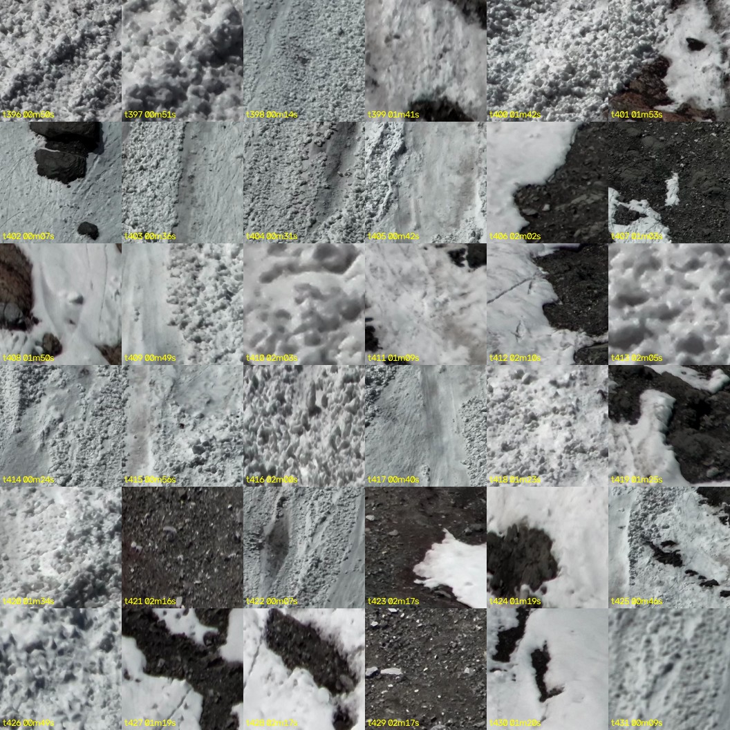 montage_11.jpg