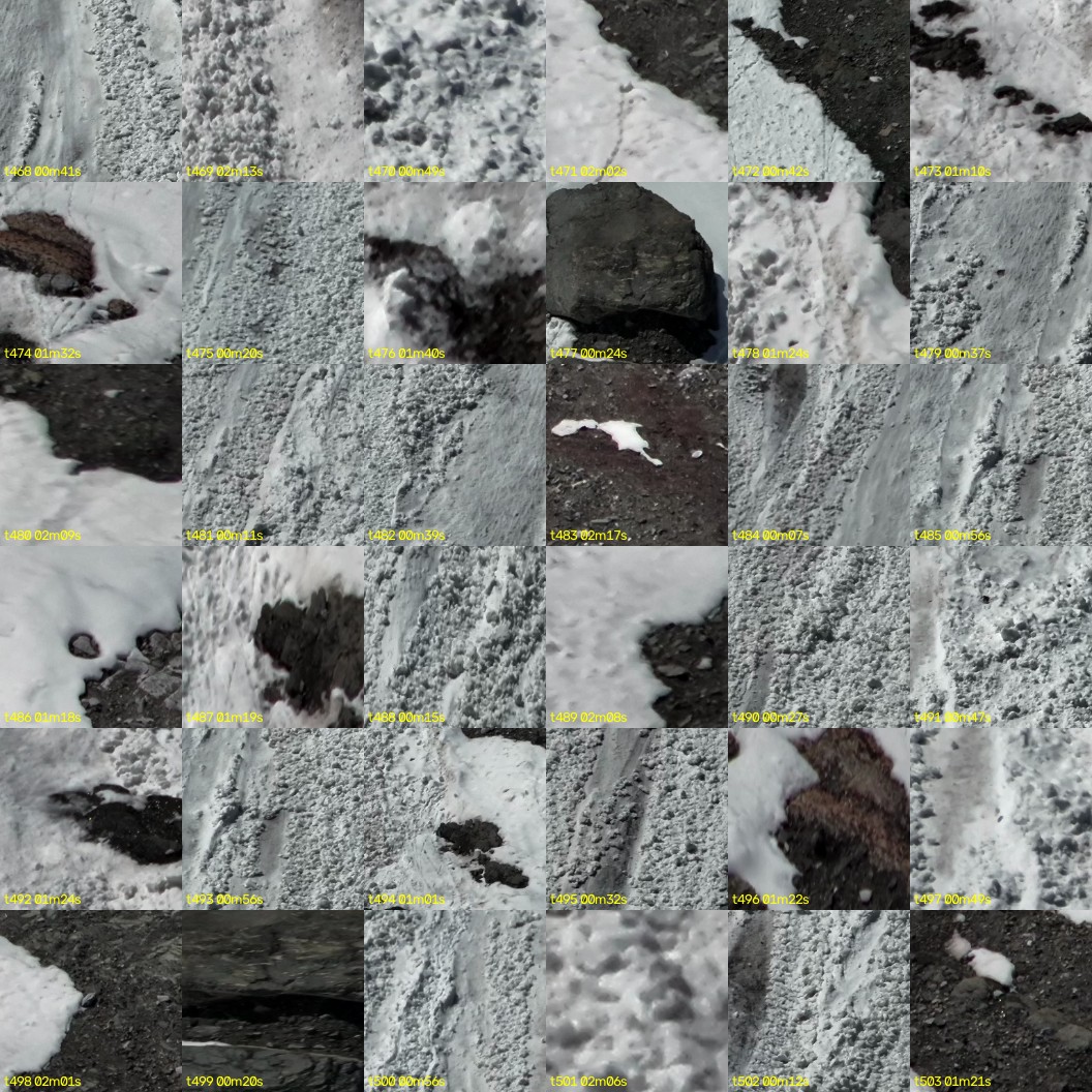 montage_13.jpg