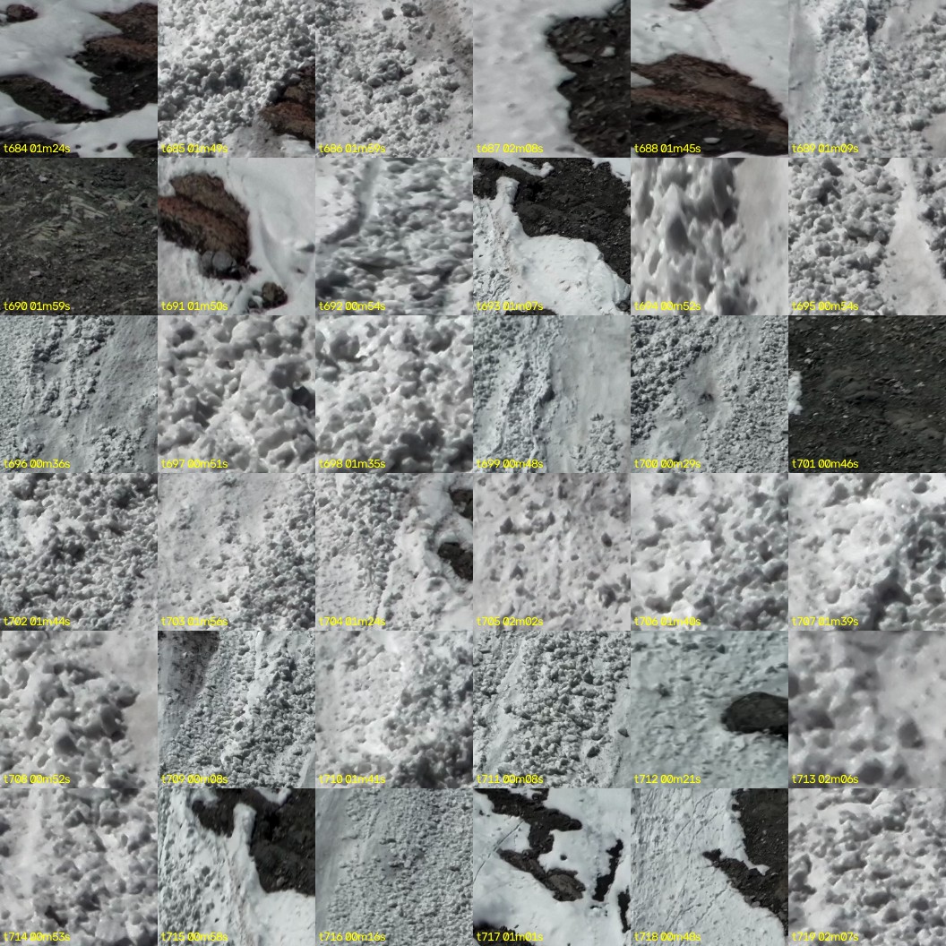 montage_19.jpg