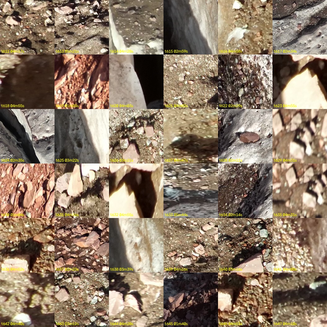 montage_17.jpg