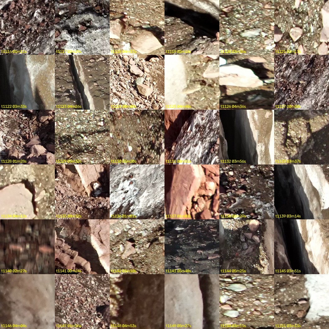 montage_31.jpg