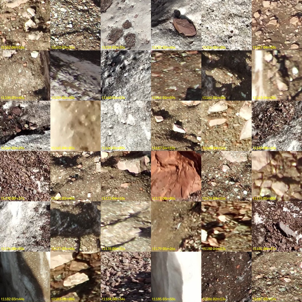 montage_32.jpg