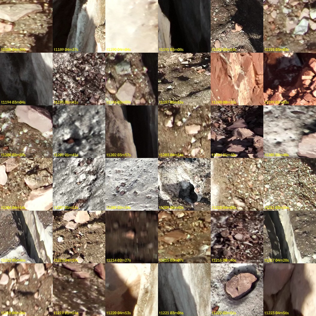 montage_33.jpg