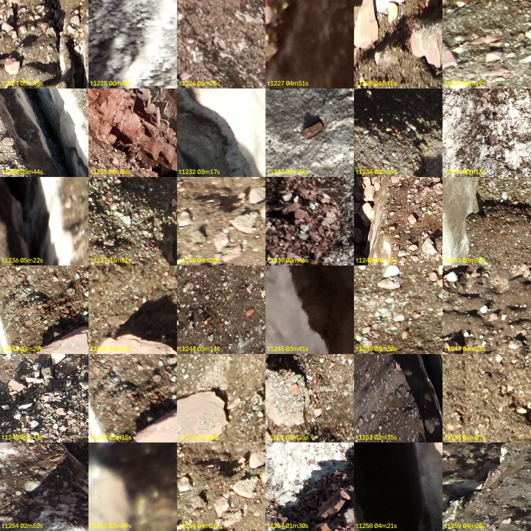 montage_34.jpg