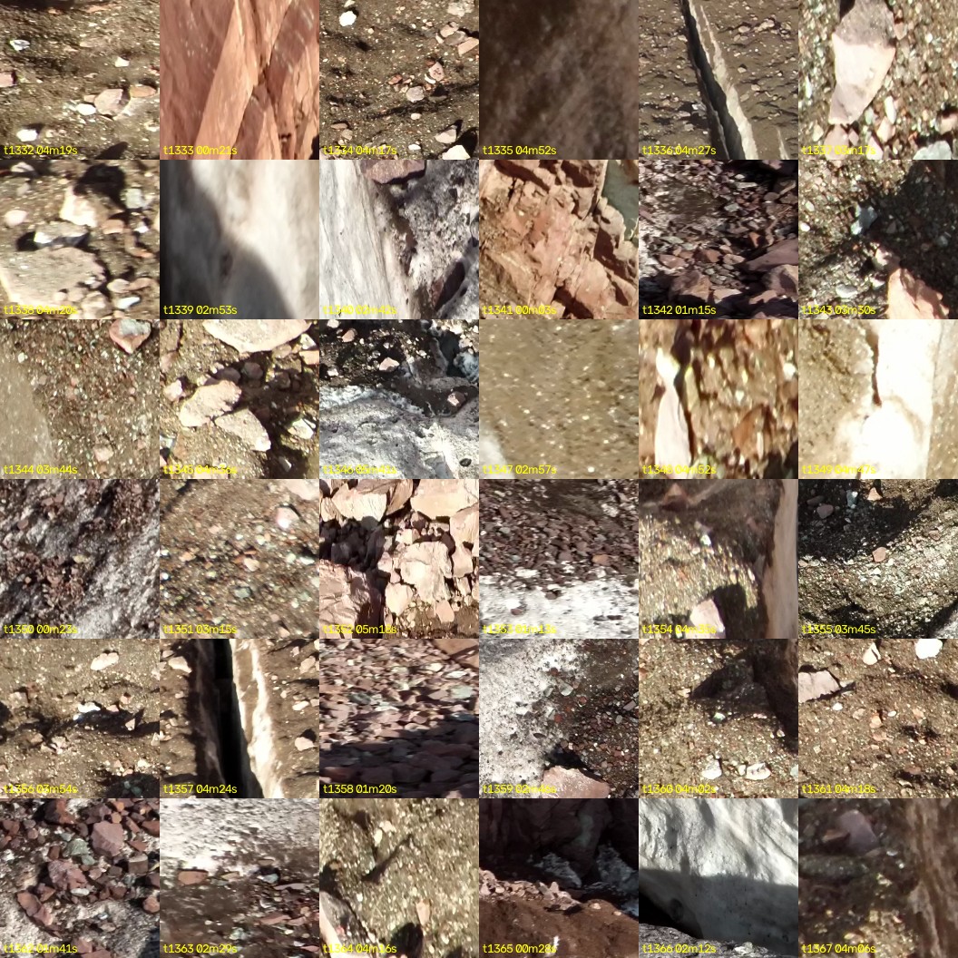 montage_37.jpg