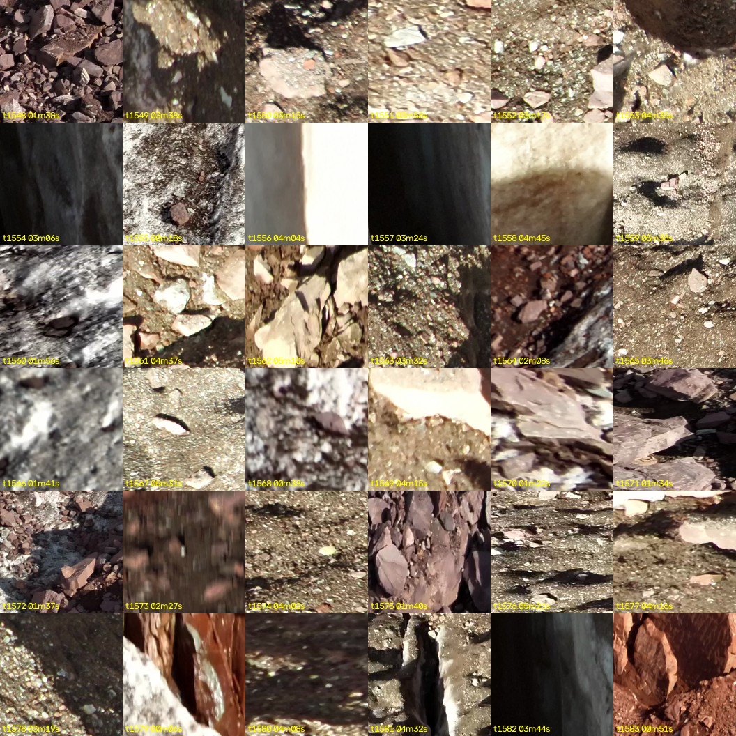 montage_43.jpg