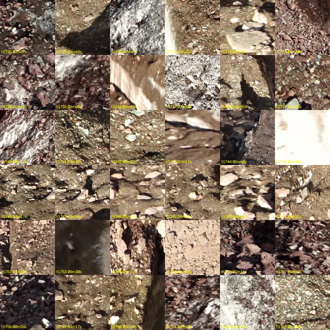 montage_48.jpg