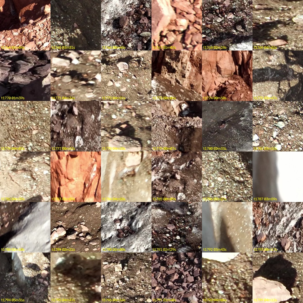 montage_49.jpg