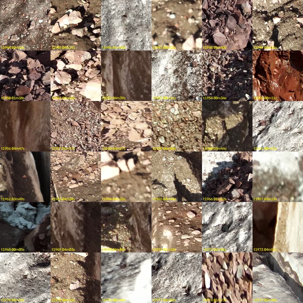 montage_54.jpg