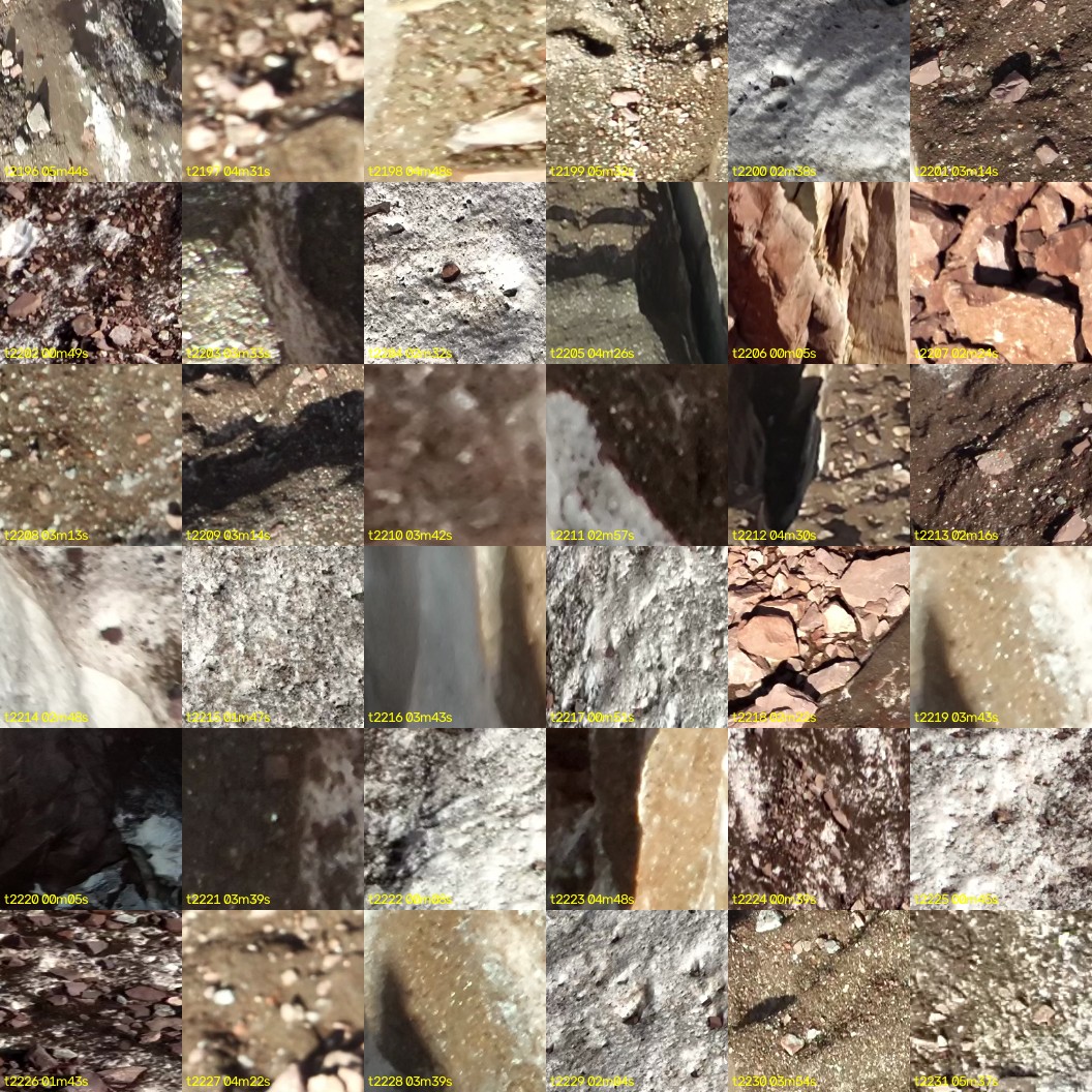 montage_61.jpg