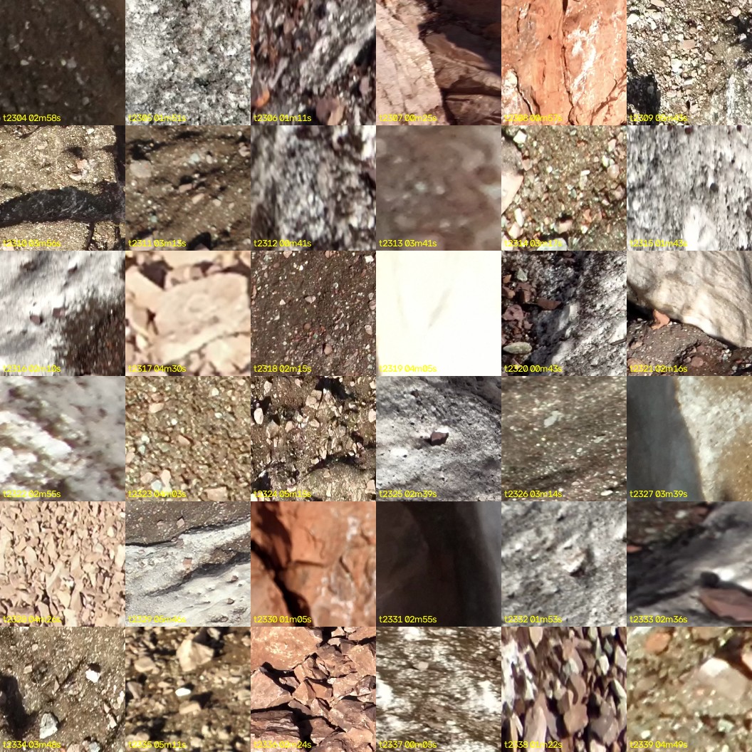 montage_64.jpg