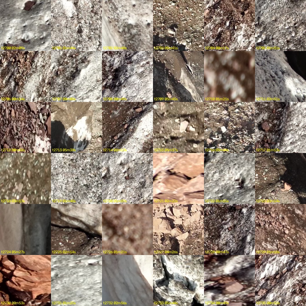 montage_75.jpg