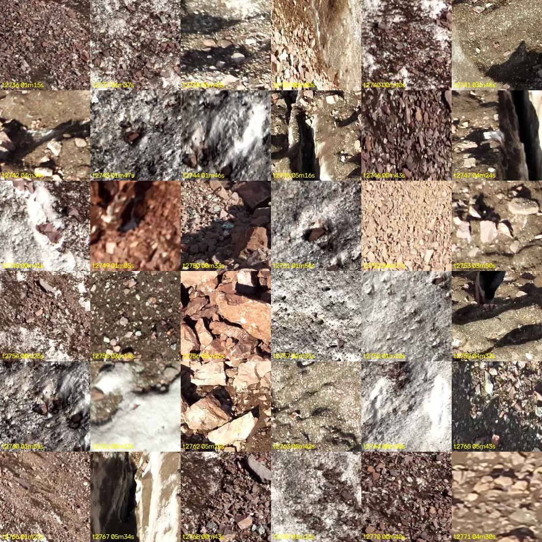 montage_76.jpg