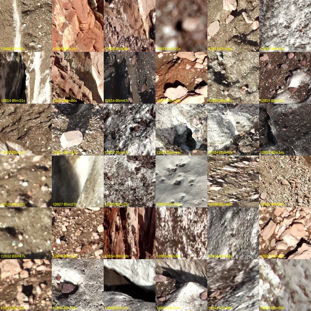 montage_78.jpg