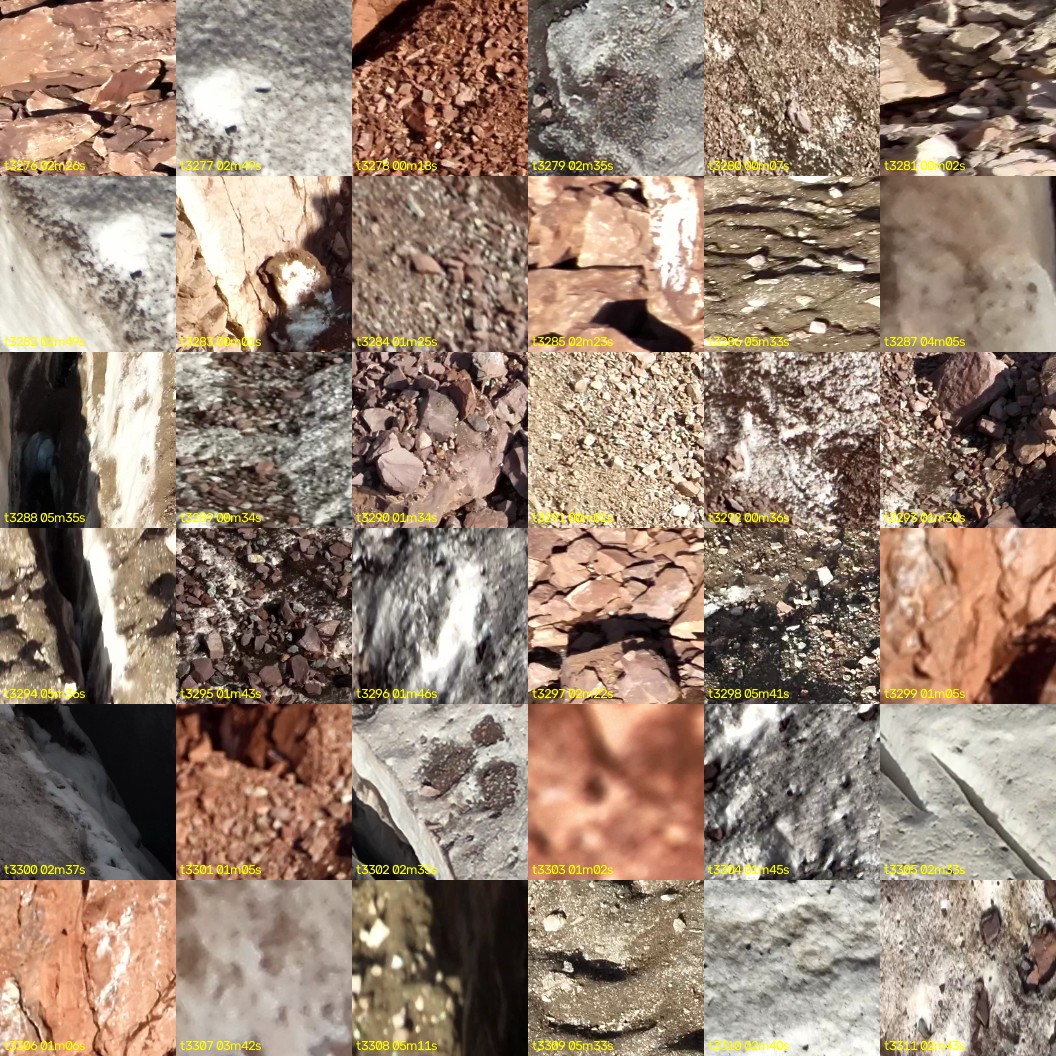 montage_91.jpg