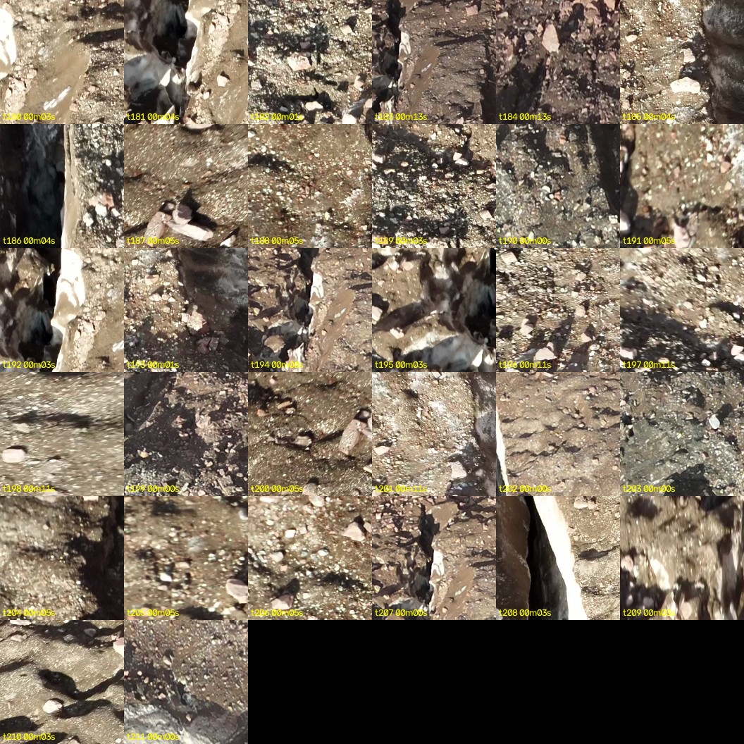 montage_05.jpg