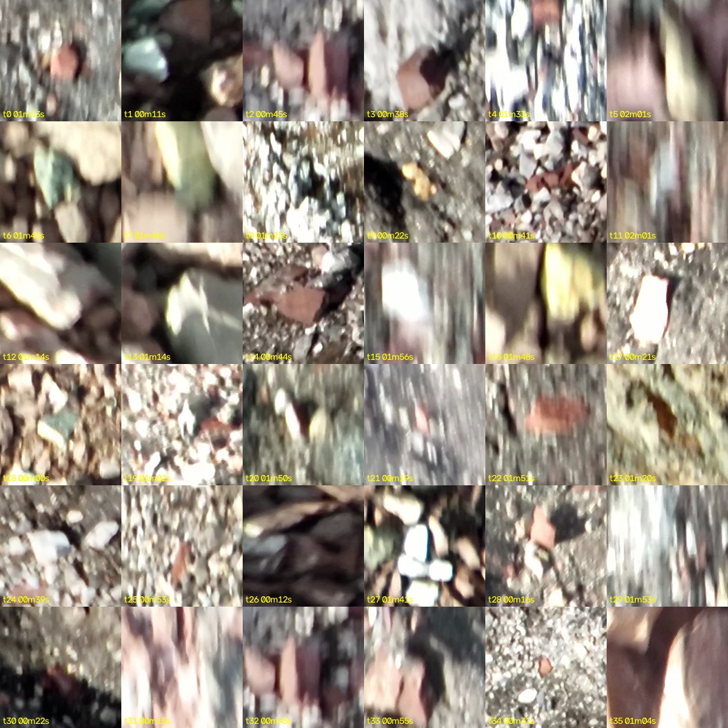 montage_00.jpg