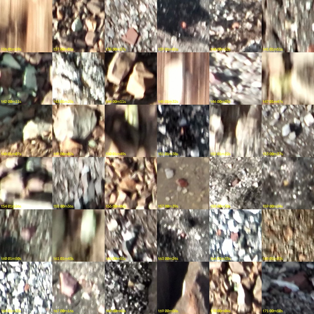 montage_01.jpg
