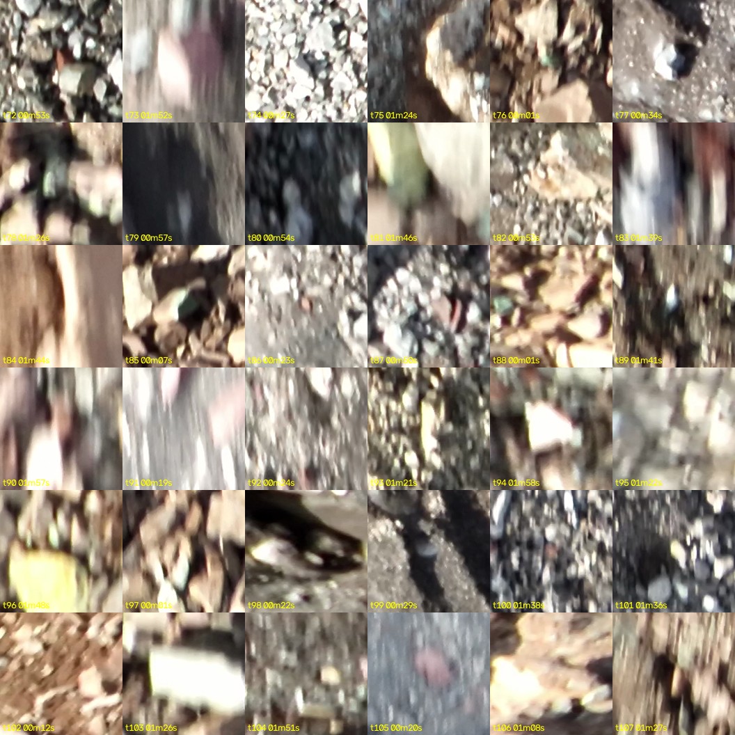 montage_02.jpg