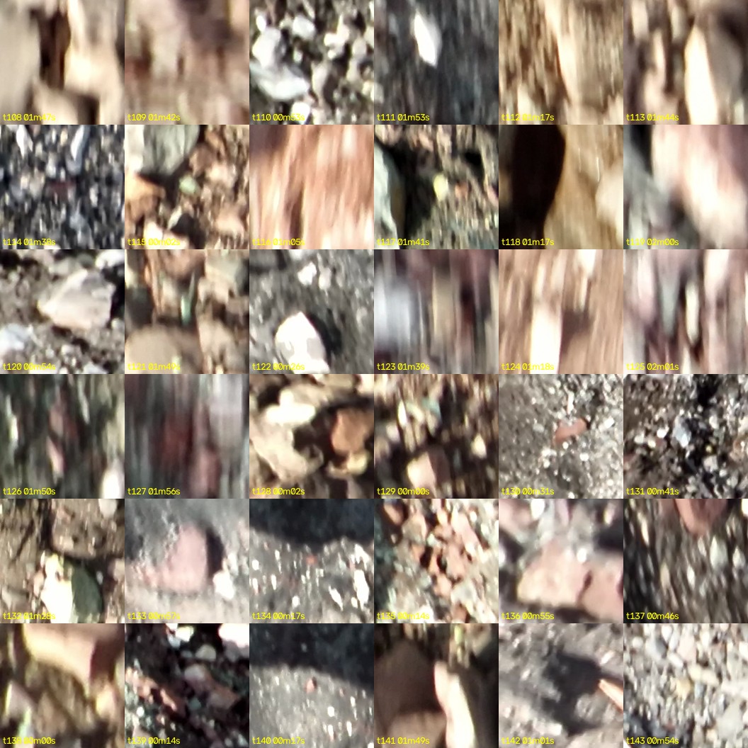 montage_03.jpg