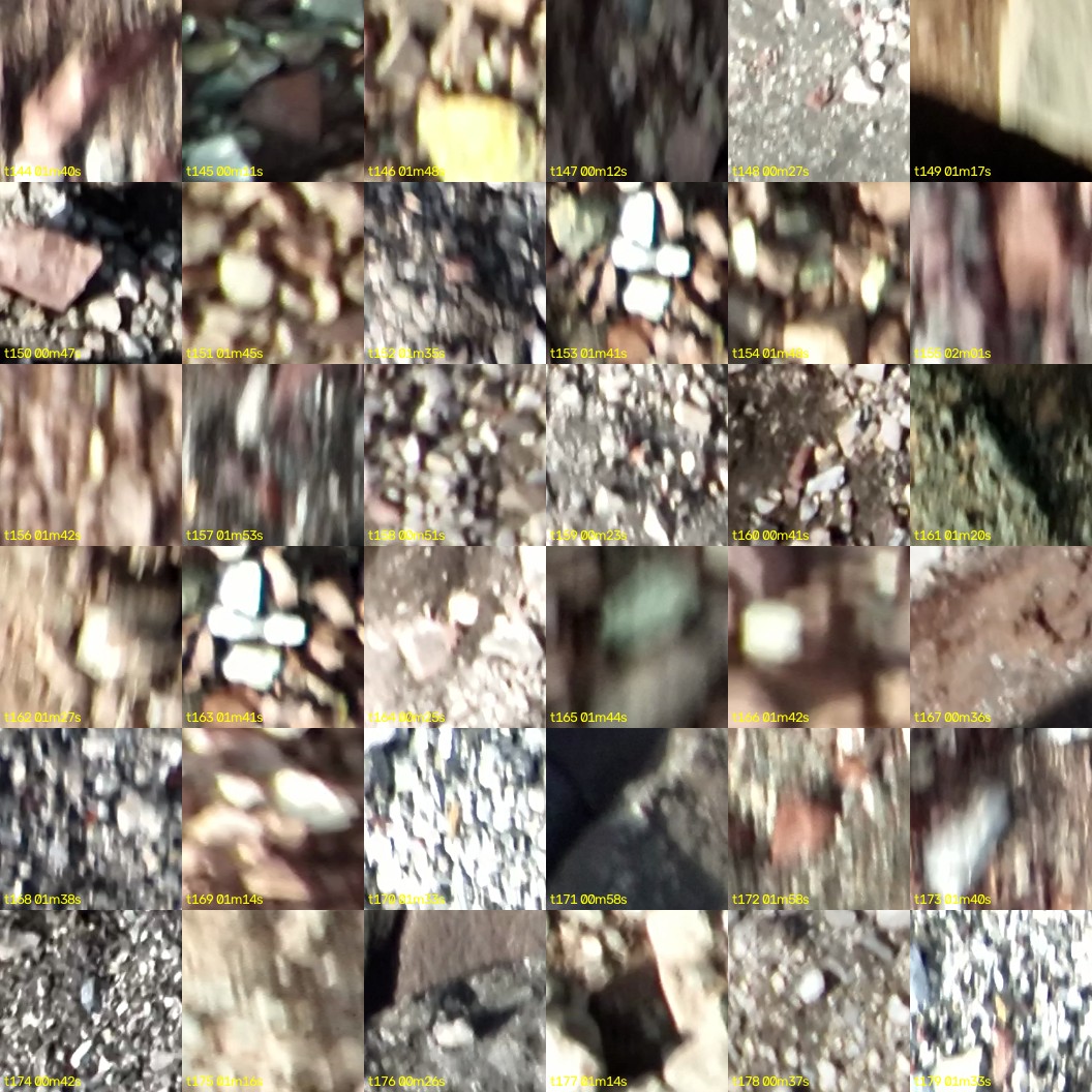 montage_04.jpg
