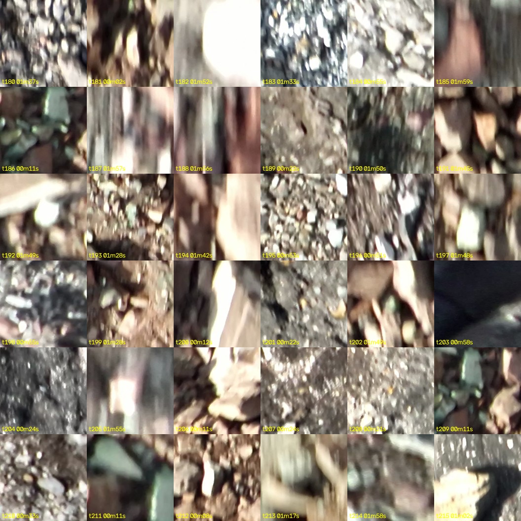 montage_05.jpg