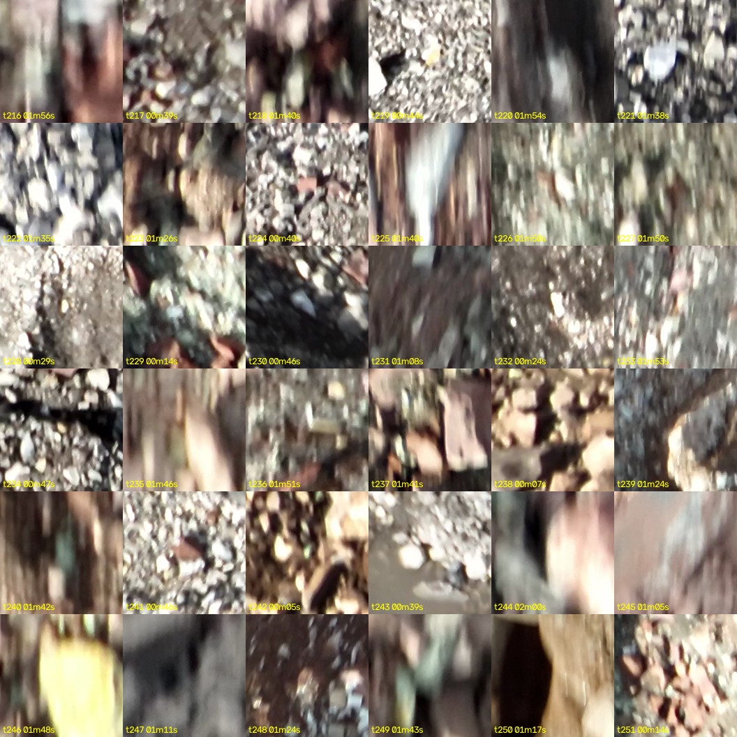 montage_06.jpg